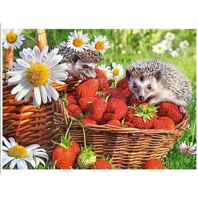 Peinture diamant 5D à faire soi-même, broderie complète au point de croix, motif hérisson aux fraises 40X50CM