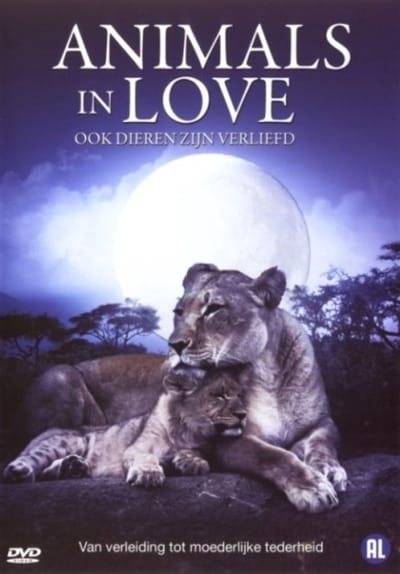 Animals In Love (DVD)