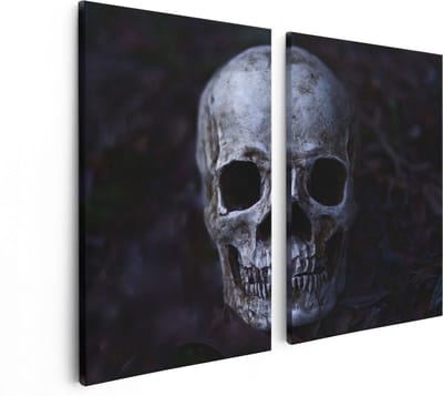 Artaza Canvas Schilderij Tweeluik Schedel - Doodshoofd - 80x60 - Foto Op Canvas - Canvas Print