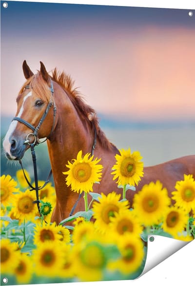 Gards Tuinposter Bruin Paard tussen de Zonnebloemen - 80x100 cm - Tuindoek - Tuindecoratie - Wanddecoratie buiten - Tuinschilderij