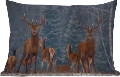 Buitenkussens - Tuin - Hert - Winter - Sneeuw - Bosdieren - Bos - Natuur - 50x30 cm
