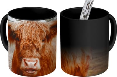 Magische Mok - Foto op Warmte Mokken - Koffiemok - Koe- Schotse hooglander - Hoorns - Bruin - Landschap - Magic Mok - Beker - 350 ML - Theemok
