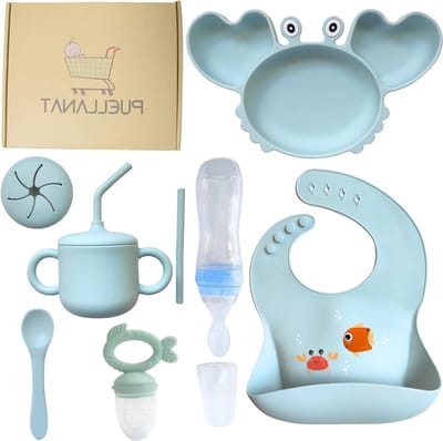 Babyset met 7 delen - slabbetjes siliconen glas baby theelepel speen kinderen fopspeen fruit lepel fles dispenser