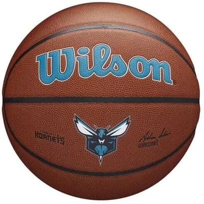 Basketbal Wilson NBA Team Alliance Char Hornets