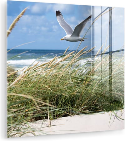 MuchoWow® Glasschilderij 50x50 cm - Schilderij acrylglas - Strand - Vogel - Planten - Foto op glas - Muurdecoratie woonkamer - Wanddecoratie slaapkamer - Schilderijen