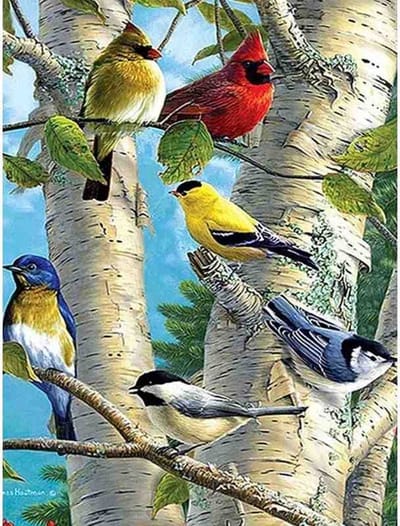 Diamond painting - Gekleurde vogels in de boom - Geproduceerd in Nederland - 40 x 60 cm - canvas materiaal - vierkante steentjes - Binnen 2-3 werkdagen in huis