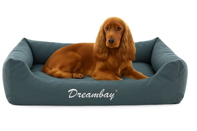 Hondenmand – orthopedisch hondenkussen Dreambay® Petrol 80x67cm – waterafstotend & afneembare hoes – duurzaam en comfortabel Europees design