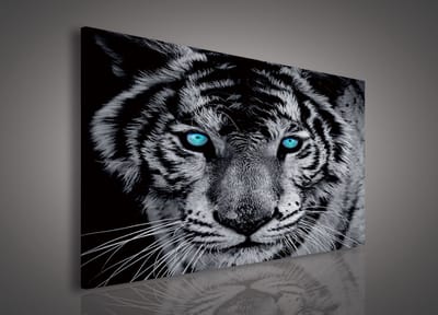Canvas Schilderij - Tijger - Leeuw - Dieren - Kat - Wild - Roofdier - Grijs - 100x75cm LxB