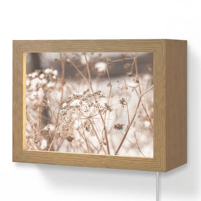 Wandlamp 20x15 cm - Oplaadbaar - Droogbloemen - Wit - Planten - Wandlampen binnen woonkamer - Slaapkamer lamp met kabel - Decoratieve nachtlamp - Vloerlamp snoer