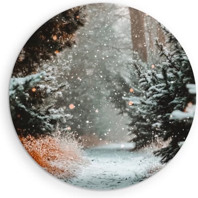 Saammp Muurcirkel Hout - Botanisch - Winterpad - Herfstachtig - Landschap - Natuur - Ø 90 - Wandcirkel - Wanddecoratie Cirkel - Muurdecoratie Woonkamer - Slaapkamer decoratie - Rond Schilderij