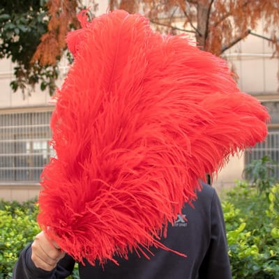 10 STUKS Rode Struisvogelveren Bulk 15-60CM Natuurlijke Veren Voor Knutselen Bruiloft Feest Tafeldecoraties Decoratie Carnaval Plumas 15-20CM 6-8INCH rood