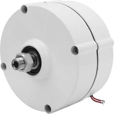 Permanente Magneet Generator Elektrische 3-fase AC Alternator AVAN?400w Industriële BenodigdhedenMet