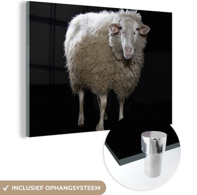 MuchoWow® Glasschilderij 120x80 cm - Schilderij acrylglas - Schaap - Boerderijdieren - Zwart - Foto op glas - Schilderijen