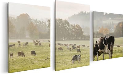 Artaza Canvas Schilderij Drieluik Zwart Witte Koeien In De Wei - 120x60 - Foto Op Canvas - Canvas Print