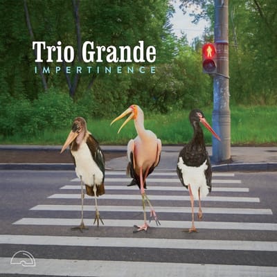 Trio Grande - Impertinence (CD)