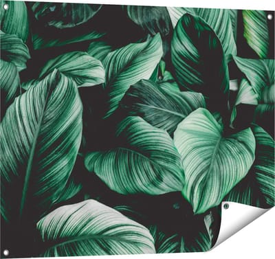Gards Tuinposter Tropische Groene Bladeren - 100x80 cm - Tuindoek - Tuindecoratie - Wanddecoratie buiten - Tuinschilderij