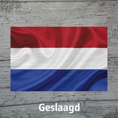 Bloemenkaartje Geslaagd - Cadeaukaartje - 20 Stuks - kaartjes - Vlag - 7 x 7 cm - Met Boorgaatje