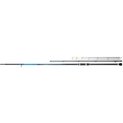 Shimano Fishing Technium Bodemvissen Hengel Zilver 3.00 m / 300 g