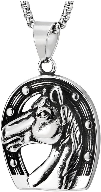 OmGoods - Dailygoody - Vintage Sieraden - Halsketting - Roestvrij Staal - Paardenschoenhanger - 75 cm Stalen Tarweketting - Geschikt voor Dames en Heren -
