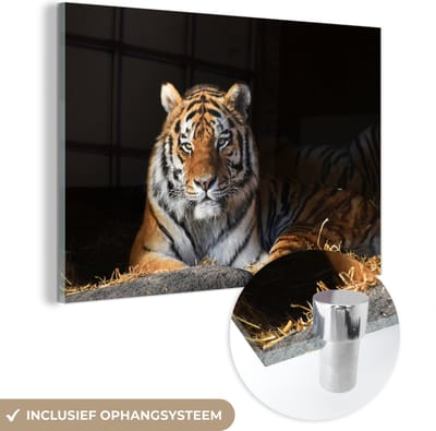 MuchoWow® Glasschilderij 60x40 cm - Schilderij acrylglas - Tijger - Stro - Schaduw - Foto op glas - Schilderijen
