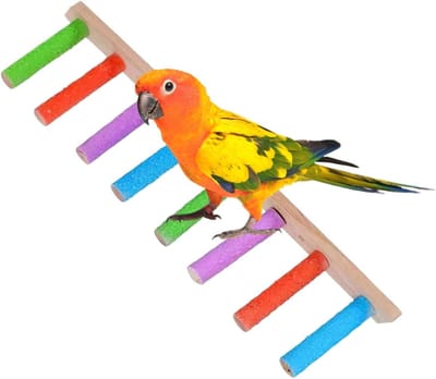 Vogelkooi Speelgoed - Houten Klimtouw - Vogel Beweging - Ladder en Swing - Niet Gespecificeerd - Natuurlijk Hout