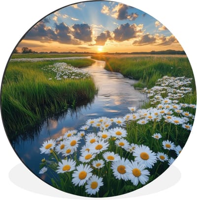 WallCircle - Wandcirkel - Muurcirkel - Beekje - Landschap - Margriet - Aluminium - Dibond - 30x30 cm - Binnen en Buiten