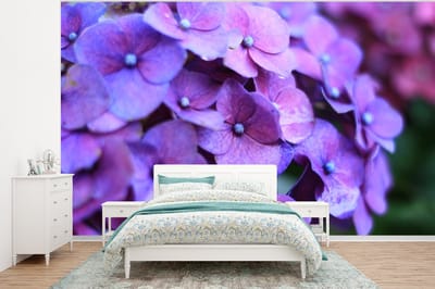 Behang - Fotobehang Bloemen - Paars - Hortensia - Natuur - Bloemblaadjes - Breedte 320 cm x hoogte 240 cm