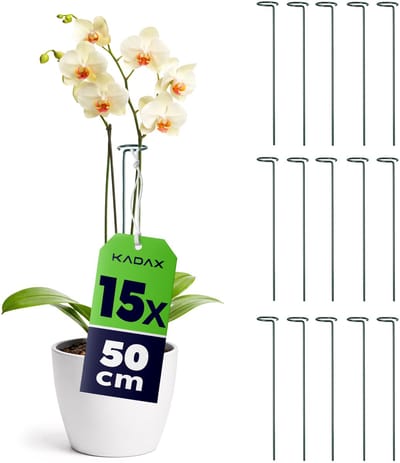 KADAX Plantensteun met oog 50 cm, stalen plantenstok, ring 6 cm, bloemensteun, groen, tuin, 15 st.