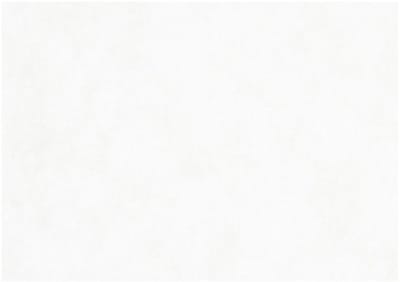 Aquarelpapier - 300 grams - A2 - Wit - 100 vellen - 100% cellulose - Aquarelpapier Creotime - Lichte structuur - 42x60cm - Perfect voor aquarelverf en kleurpotloden