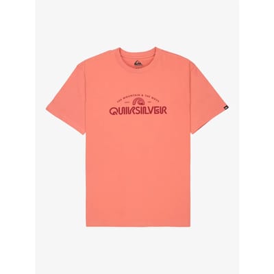 Quiksilver Ev Vista Ss Heren T-shirt Eqyzt08287-mkt0 - Kleur Lila - Maat M
