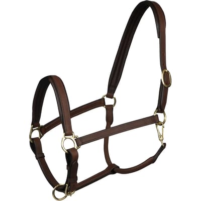 Leren halster voor paarden Horka Stockholm