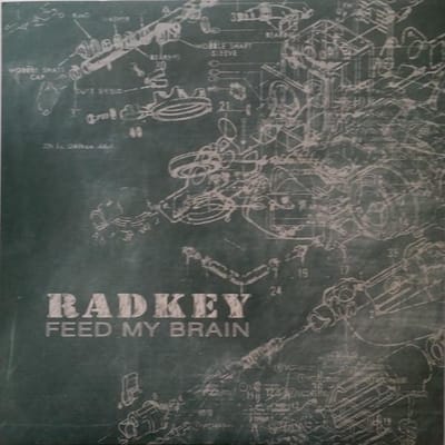 7-feed My Brain