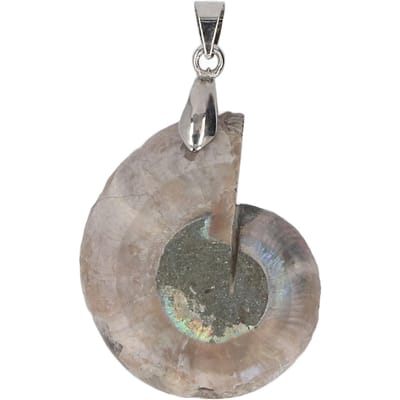 Ammoniet Schelp Hanger Handgemaakt Vintage Natuur Ammoniet Hanger voor Vrouwen Mannen Cadeau gray