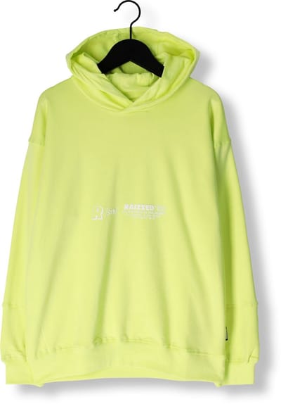 RAIZZED Nart Truien & Vesten Jongens - Sweater - Hoodie - Vest- Lime - Maat 140
