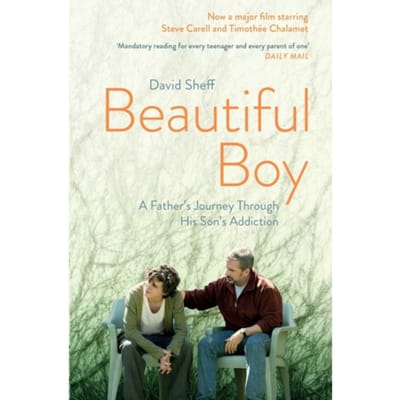 Beautiful Boy - Sheff, David
