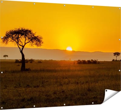 Gards Tuinposter Zonsopgang in de Savanne met een Boom - 160x120 cm - Tuindoek - Tuindecoratie - Wanddecoratie buiten - Tuinschilderij