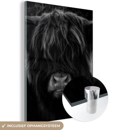 MuchoWow® Glasschilderij 120x160 cm - Schilderij acrylglas - Schotse Hooglander - Koe - Portret - Dieren - Zwart - Wit - Foto op glas - Schilderijen