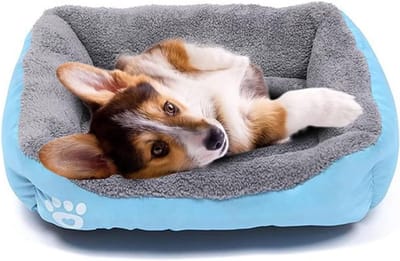 Hondenbed voor Kleine Honden en Katten, Waterdichte Dierenmat en Wasbare Slaapmat (Blauw)