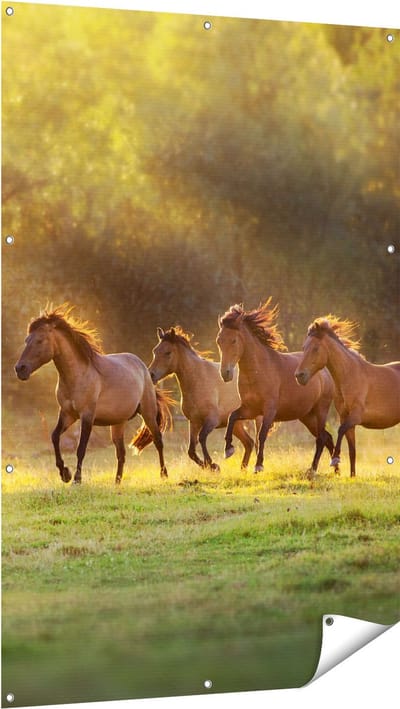 Gards Tuinposter Kudde Bruine Paarden in de Wei - 100x150 cm - Tuindoek - Tuindecoratie - Wanddecoratie buiten - Tuinschilderij