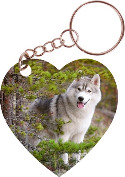 Sleutelhanger hartje 5x5cm - Husky in Bos