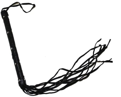 Zweep 50cm zwart