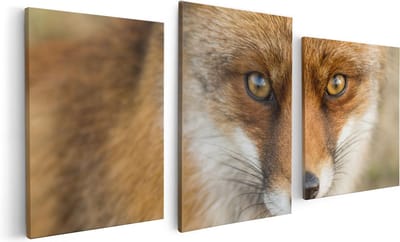 Artaza Canvas Schilderij Drieluik Vossenkop met Bruine Ogen - Vos - 120x60 - Foto Op Canvas - Canvas Print