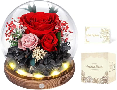 Eeuwige Roos - Decoratie Bloemen - Romantisch Cadeau - Met LED Verlichting - 13 x 13 x 13 cm - Rood
