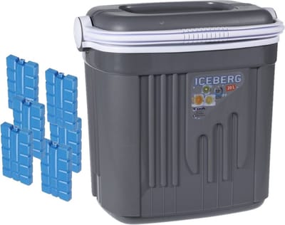 Koelbox kunststof - grijs - 20 liter - 39 x 28 x 38 cm - Inclusief 6x koelelementen