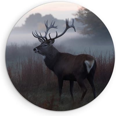 Saammp Muurcirkel Hout - Hert - Mist - Natuur - Dieren - Ø 90 - Wandcirkel - Wanddecoratie Cirkel - Muurdecoratie Woonkamer - Slaapkamer decoratie - Rond Schilderij