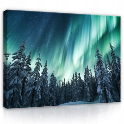 WALLARENA - Canvas schilderij - 100x70 cm - afbeelding van het noorderlicht in een turquoise bos, natuur, nacht, voor slaapkamer of woonkamer