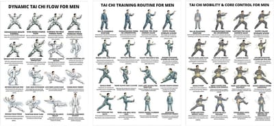 Workout Poster Set - Fitness Gids - Thuis Trainen - Beginnersvriendelijk Ontwerp - 3 Delig - Meerdere Kleuren