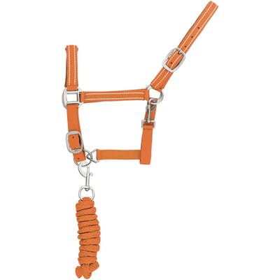 Reflecterende nylon halster en longe voor paarden Supreme