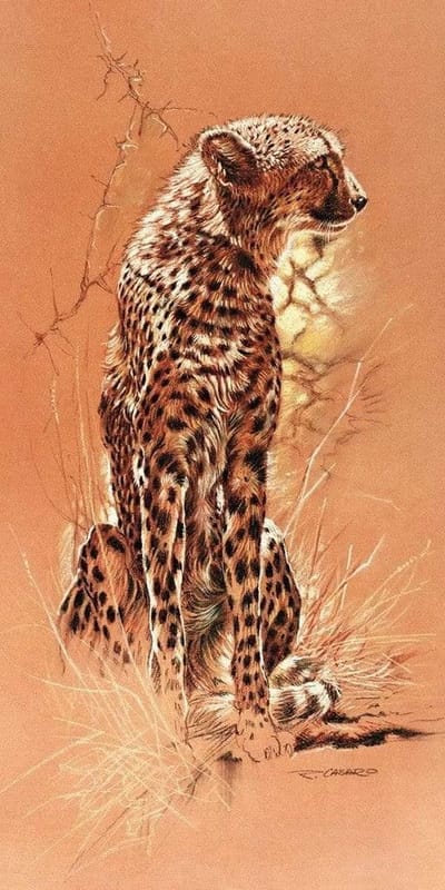 Kunstdruk Renato Casaro - Cheetah 50x100cm