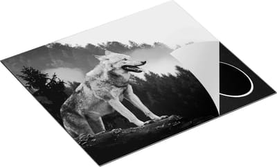 Chefcare Inductie Beschermer Grijze Wolf in de Bossen - Zwart Wit - 60x50 cm - Afdekplaat Inductie - Kookplaat Beschermer - Inductie Mat
